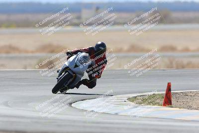media/Apr-13-2025-Race Pace (Sun) [[7918213ab8]]/Vested/3-Turn 3 (1018am)/